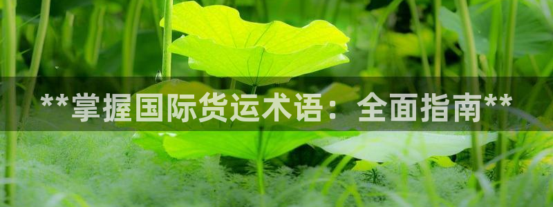 尊龙凯时人生就是搏技术实力：**掌握国际货运术语：全面指