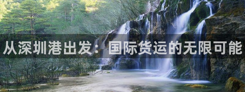 尊龙app怎么样：从深圳港出发：国际货运的无限可能