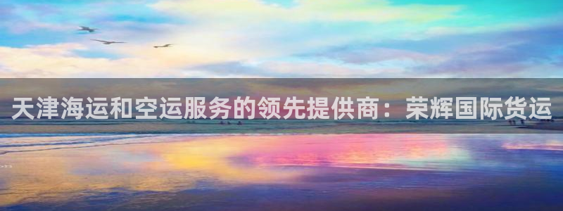 尊龙凯时为什么输了钱：天津海运和空运服务的领先提供商：荣
