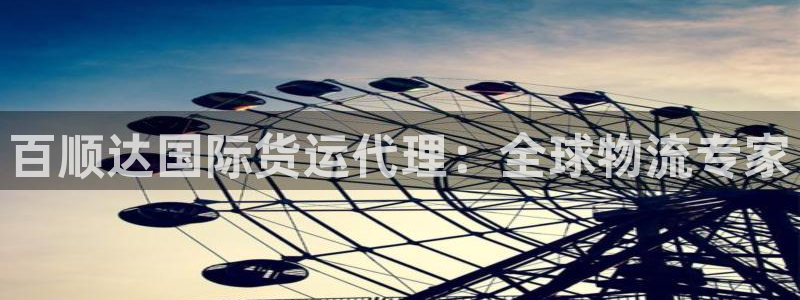 尊龙t500和t300区别：百顺达国际货运代理：全球物流