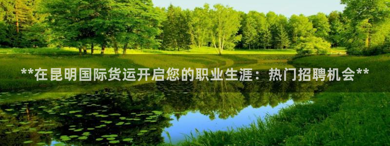 Z6尊龙官网入口：**在昆明国际货运开启您的职业生涯：热