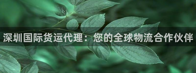 尊龙个人资料简介：深圳国际货运代理：您的全球物流合作伙伴
