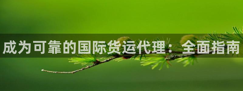 尊龙人生就是一博!：成为可靠的国际货运代理：全面指南