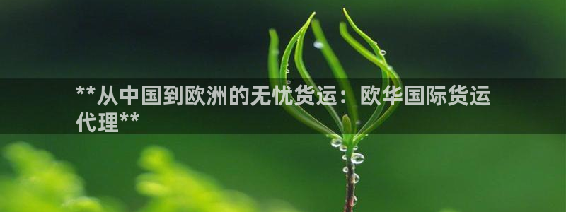 尊龙z6集团：**从中国到欧洲的无忧货运：欧华国际货运
