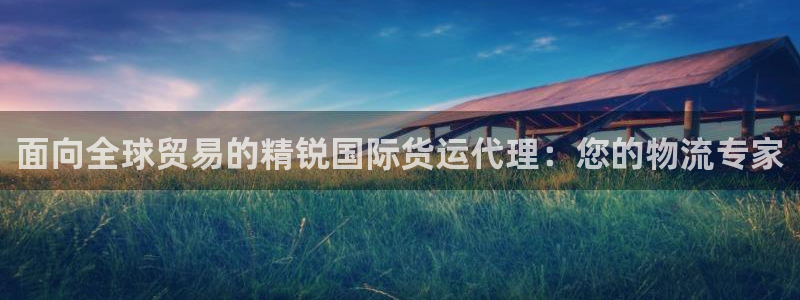 尊龙凯时推荐人：面向全球贸易的精锐国际货运代理：您的物流