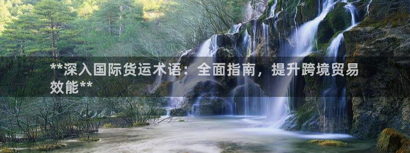 d88尊龙手机客户端下载：**深入国际货运术语：全面指南