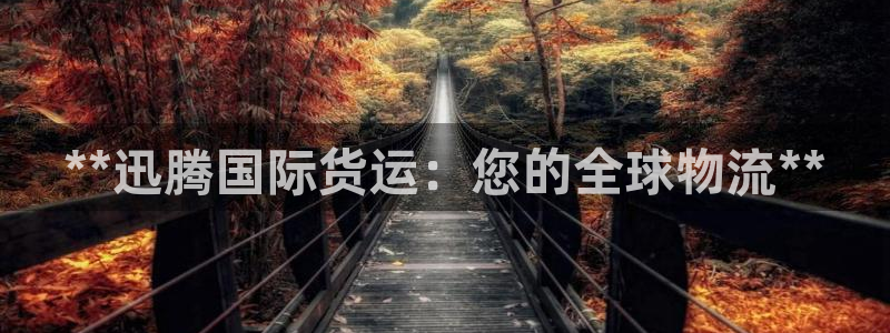 尊龙凯时平台信誉怎样：**迅腾国际货运：您的全球物流**