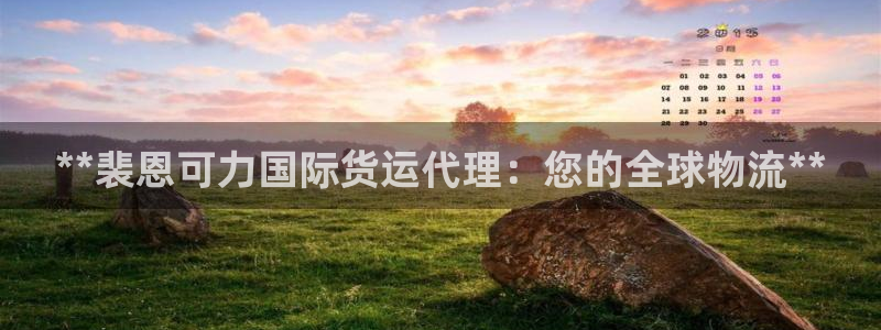 尊龙负面新闻：**裴恩可力国际货运代理：您的全球物流**