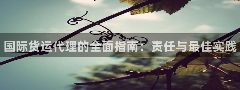 尊龙凯时网娱乐最新版下载：国际货运代理的全面指南：责任与