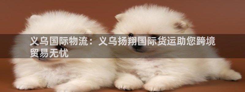 尊龙z6网址：义乌国际物流：义乌扬翔国际货运助您跨境
贸