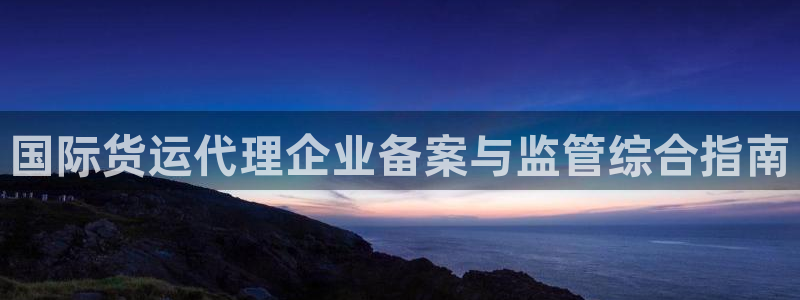 尊龙官网网站：国际货运代理企业备案与监管综合指南
