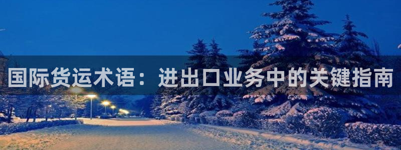 尊龙手机官方客户端下载安卓：国际货运术语：进出口业务中的