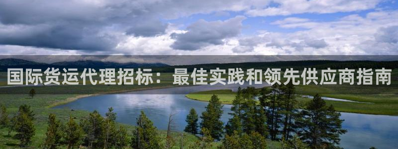 尊龙实业有限公司属于国企吗：国际货运代理招标：最佳实践和