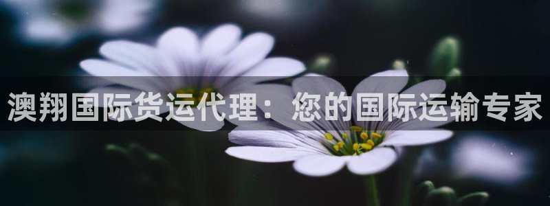 尊龙凯时法充十万返现多少：澳翔国际货运代理：您的国际运输