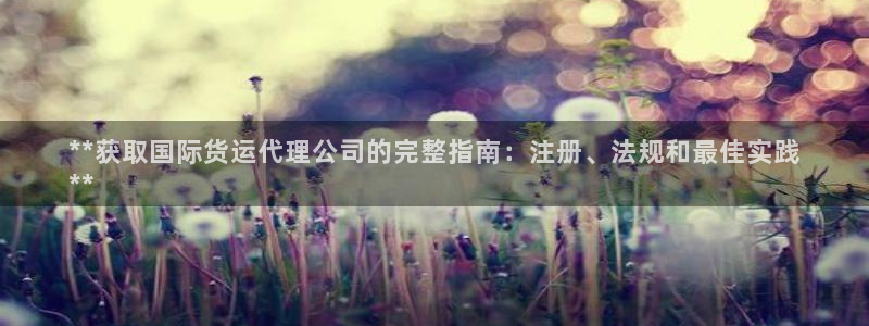 尊龙凯时人生就是博官网登录：**获取国际货运代理公司的完