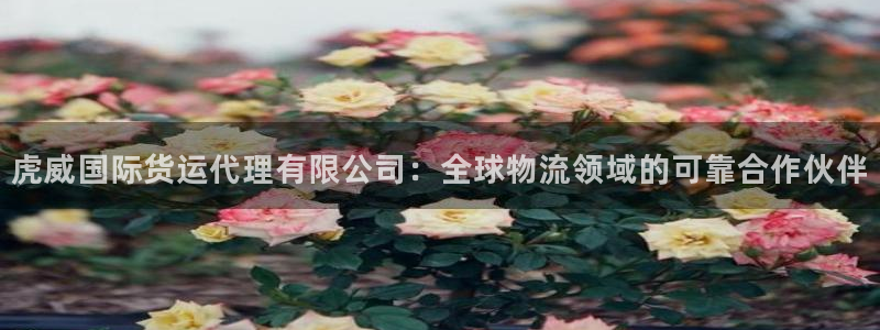 尊龙d88官网去来就送38：虎威国际货运代理有限公司：全