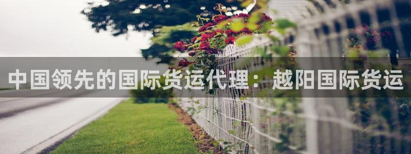 尊龙人生就是博d88官方网站：中国领先的国际货运代理：越