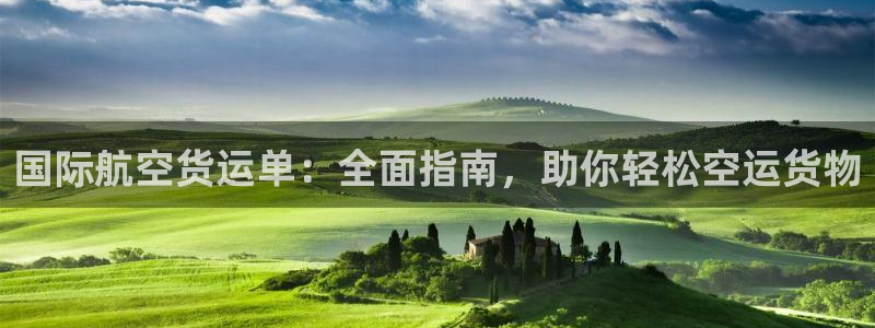 尊龙凯时链接：国际航空货运单：全面指南，助你轻松空运货物