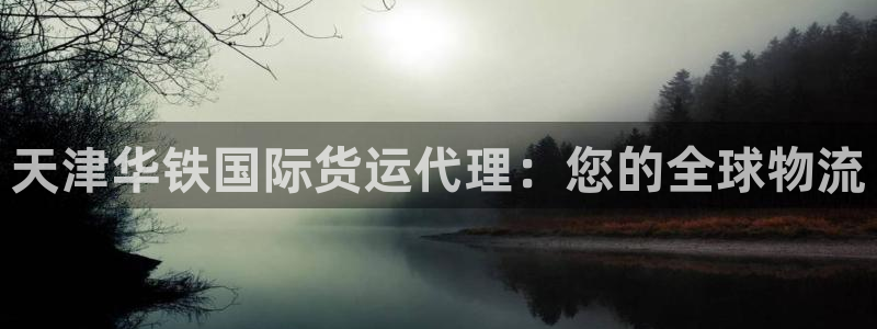 尊龙凯时提款冻卡吗：天津华铁国际货运代理：您的全球物流