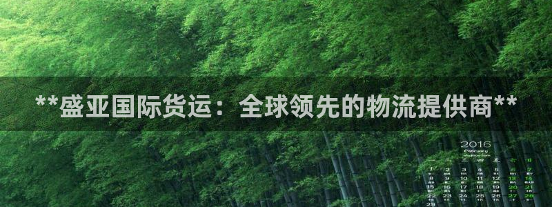 尊龙凯时人生就是博·(中国)官网首页：**盛亚国际货运：