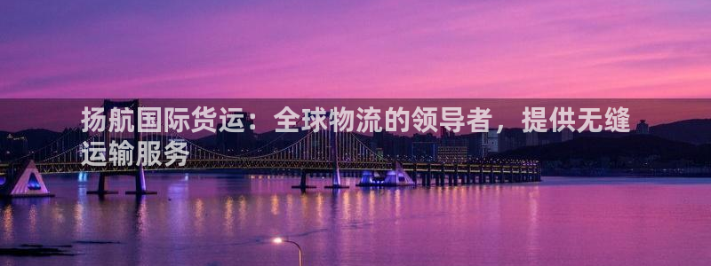 尊龙凯时存款多久到账：扬航国际货运：全球物流的领导者，提
