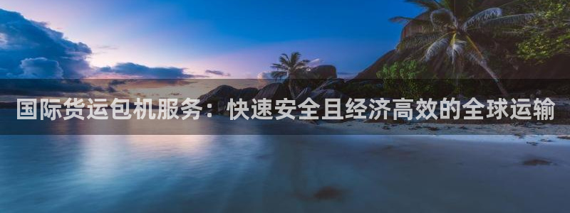 尊龙凯时返现：国际货运包机服务：快速安全且经济高效的全球