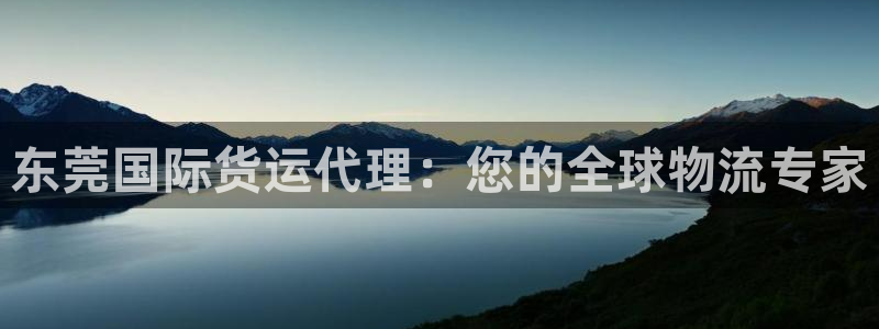 尊龙coming to my own：东莞国际货运代理：