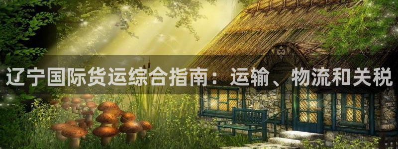 尊龙软件下载：辽宁国际货运综合指南：运输、物流和关税