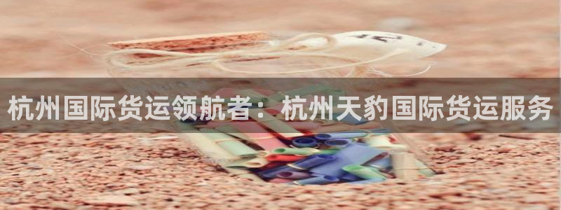 尊龙凯时一人生就是博登入：杭州国际货运领航者：杭州天豹国