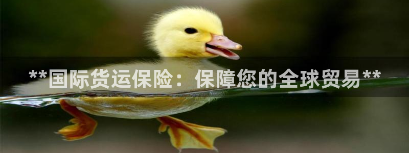 尊龙官网手机版：**国际货运保险：保障您的全球贸易**