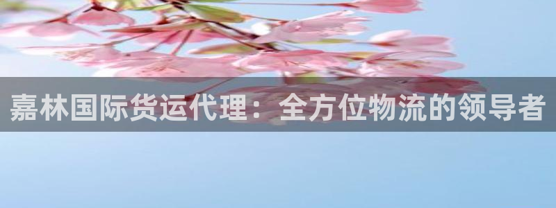 尊龙人生就是博AG旗舰厅：嘉林国际货运代理：全方位物流的