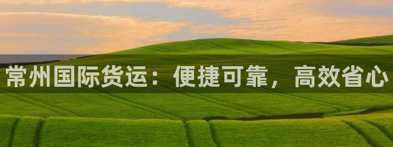 尊龙t600：常州国际货运：便捷可靠，高效省心