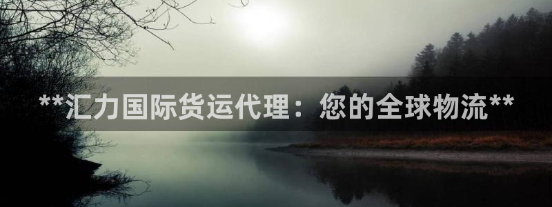 尊龙凯时人生就是博官网登录：**汇力国际货运代理：您的全