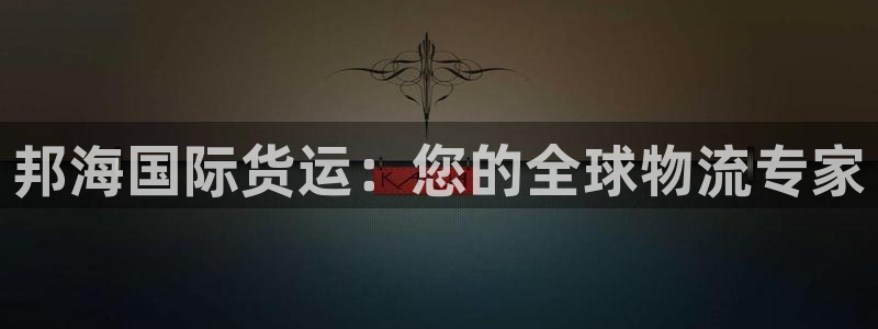 尊龙网址苹果版下载：邦海国际货运：您的全球物流专家