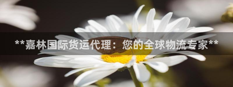 尊龙凯时正规吗：**嘉林国际货运代理：您的全球物流专家*