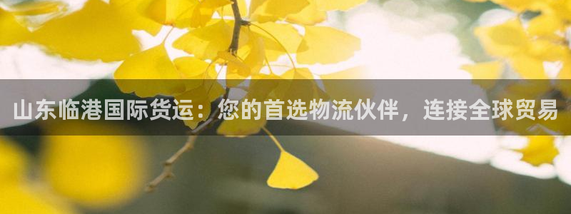 尊龙凯时防屏蔽网址：山东临港国际货运：您的首选物流伙伴，