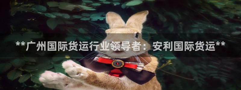 尊龙凯时平台信誉怎样：**广州国际货运行业领导者：安利国
