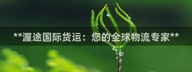 尊龙凯时只输不赢：**渥途国际货运：您的全球物流专家**