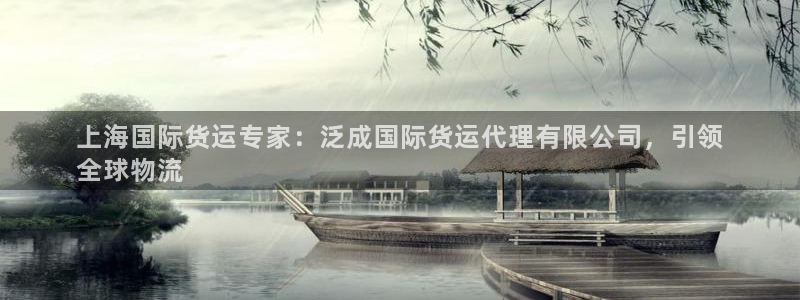 尊龙凯时白家乐：上海国际货运专家：泛成国际货运代理有限公