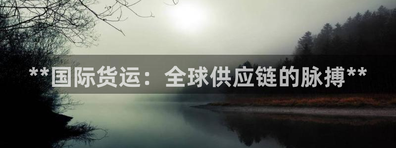 尊龙人生就是博ag旗舰厅：**国际货运：全球供应链的脉搏
