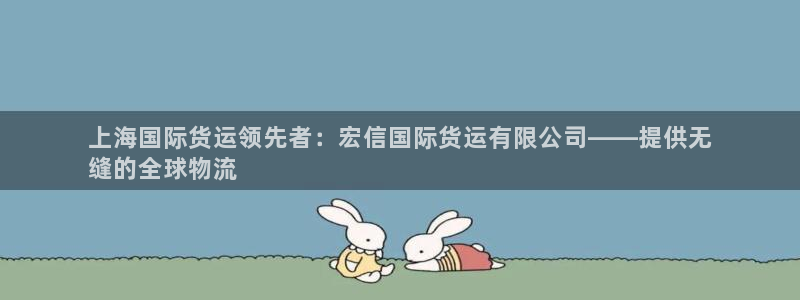 尊龙凯时有没有出不了款的情况：上海国际货运领先者：宏信国