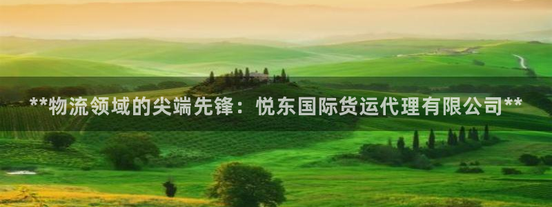 尊龙凯时麻将胡了：**物流领域的尖端先锋：悦东国际货运代