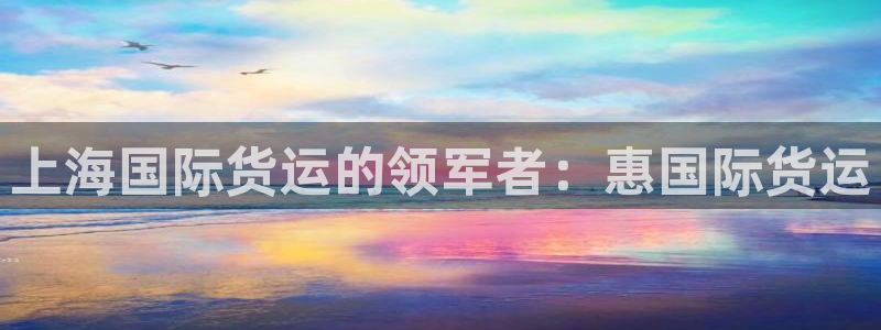 尊龙人生就是博旧：上海国际货运的领军者：惠国际货运