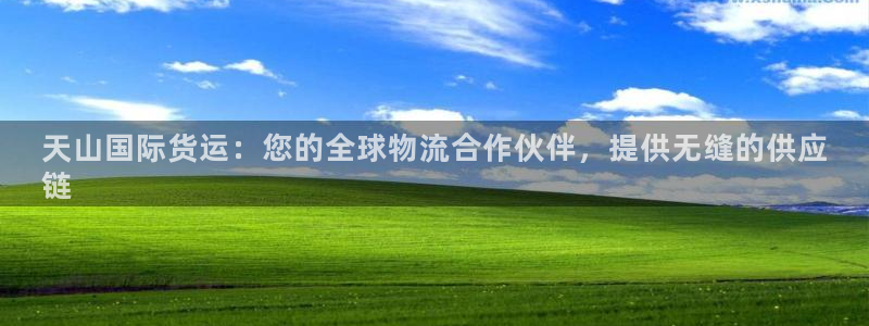 尊龙凯时官网网页版：天山国际货运：您的全球物流合作伙伴，