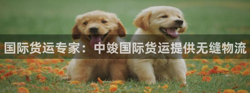 尊龙凯时的企业文化：国际货运专家：中竣国际货运提供无缝物