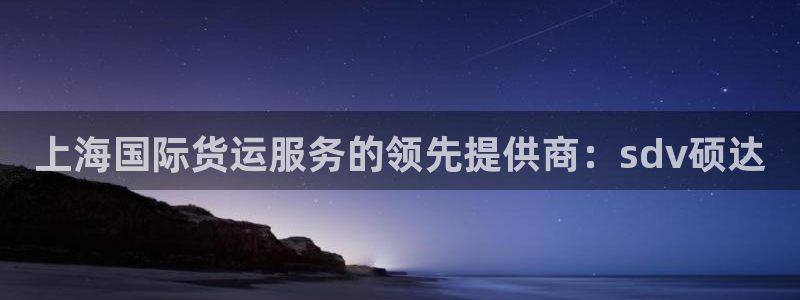 尊龙 中国：上海国际货运服务的领先提供商：sdv硕达