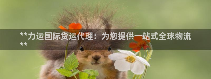 尊龙凯时v7要冲多少：**力运国际货运代理：为您提供一站