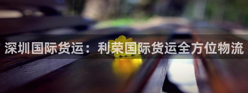 尊龙凯时出款：深圳国际货运：利荣国际货运全方位物流