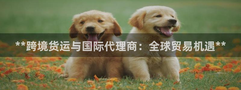 尊龙人生就是博AG旗舰厅：**跨境货运与国际代理商：全球