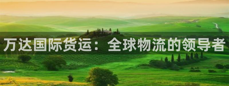 尊龙手机官方客户端下载安装：万达国际货运：全球物流的领导